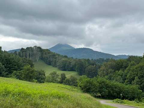 TBD Paradise Valley Drive, Creston, NC 28615