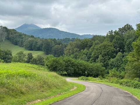 TBD Paradise Valley Drive, Creston, NC 28615