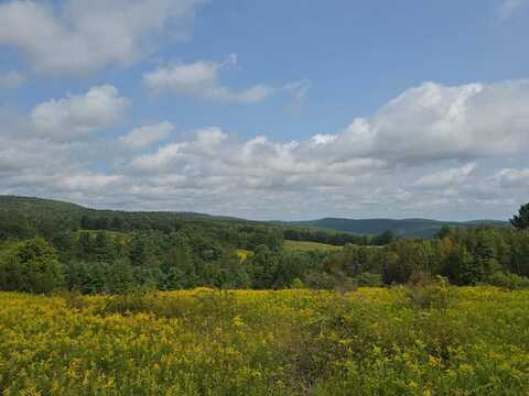 0WP Pat Farley Rd, New Berlin, NY 13843