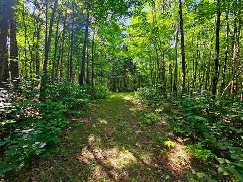 522 Mt. Misery Rd, Littleton, NH 03561