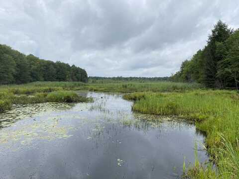 Fisherman's Bridge Road, Williamstown, NY 13493
