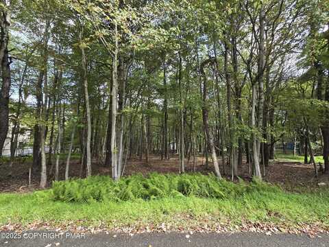 Ev504 Hunt Trail, Albrightsville, PA 18210