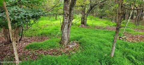 Ev1305 Lipo Way, Albrightsville, PA 18210