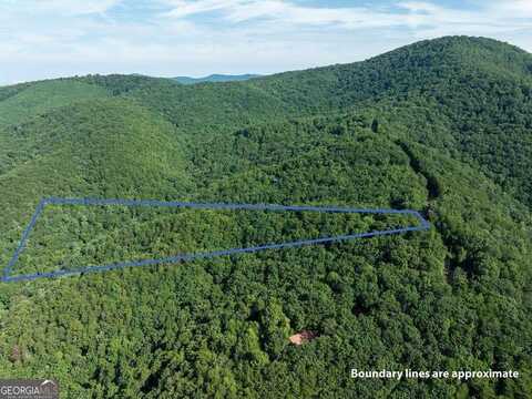 LOT 9 Brushy Top Drive, Chatsworth, GA 30705