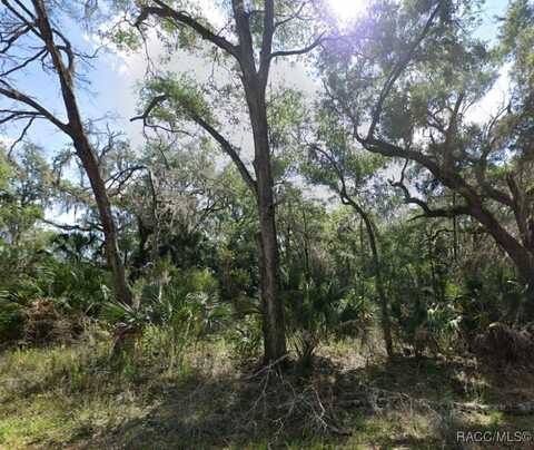 8949 N Valentine Terrace, Crystal River, FL 34428