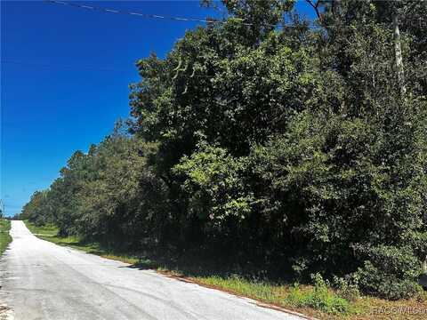 3301 E Anderson Street, Inverness, FL 34453
