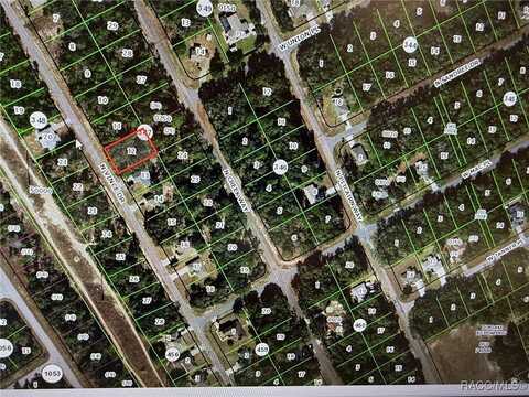 8591 N Vince Drive, Citrus Springs, FL 34434