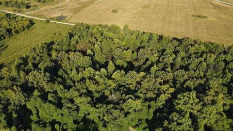 0 Carter Ferry Road, Centertown, KY 42328