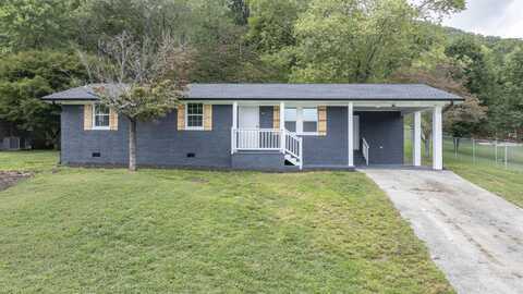 132 Walnut Street, Spring City, TN 37381