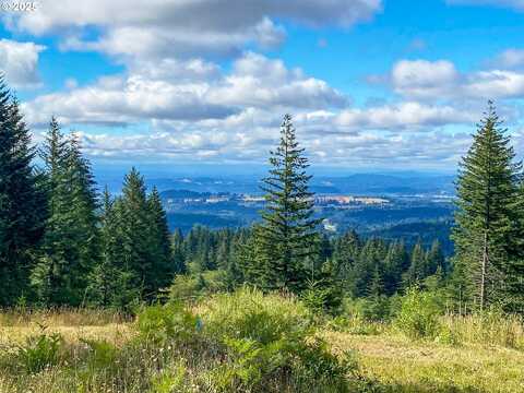 NE Hancock RD, Camas, WA 98607