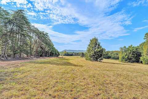 Tract 2 Pine Ridge RD, Huddleston, VA 24104