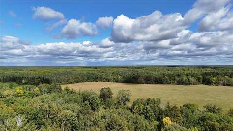 Tbd County Road 31, Pomroy Twp, MN 56688