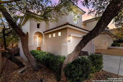 17811 CAMINO GRANDE, San Antonio, TX 78257