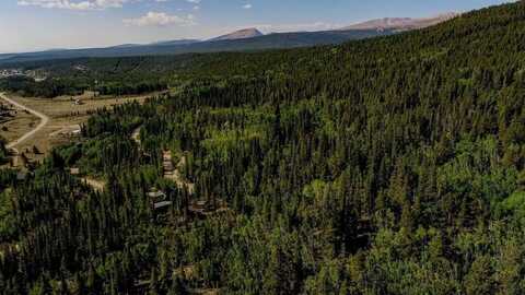 129 BRANCH ROAD, Alma, CO 80420
