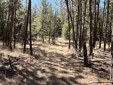 Nka Coyote Ridge Ln, Ford, WA 99013