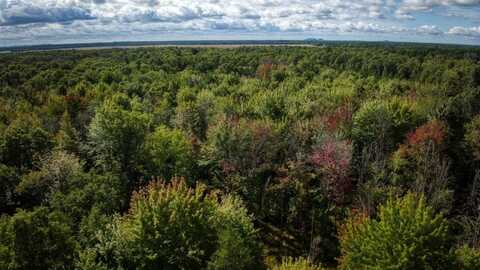 10.32 Acres Bighorn Avenue, Arkdale, WI 54613