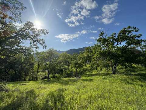 0 Mynatt Drive, Three Rivers, CA 93271