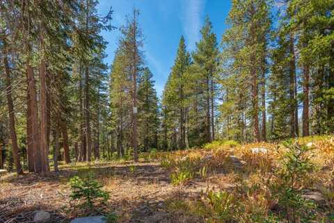 8425 Hillside Drive, Soda Springs, CA 95728