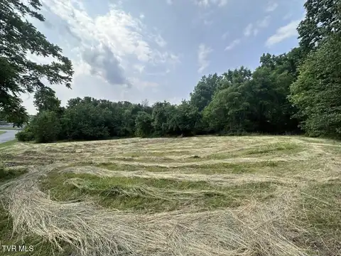 0 Princeton Road, Johnson City, TN 37601