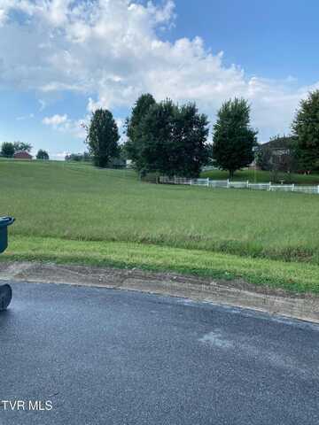 000 Emerald Drive, Greeneville, TN 37745