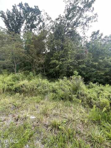 0 Mary Patton Highway, Elizabethton, TN 37643
