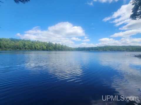 TBD W Tamarack Lake, Watersmeet, MI 49969