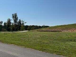 LOT 54 SIPSEY SHORES DRIVE, Jasper, AL 35503