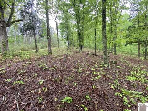 Lot 100 Western Drive, Murray, KY 42071