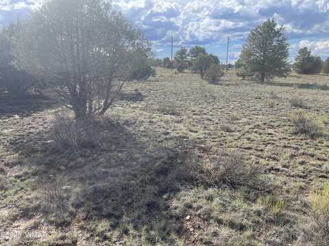 2752 Zane Grey Boulevard, Overgaard, AZ 85933
