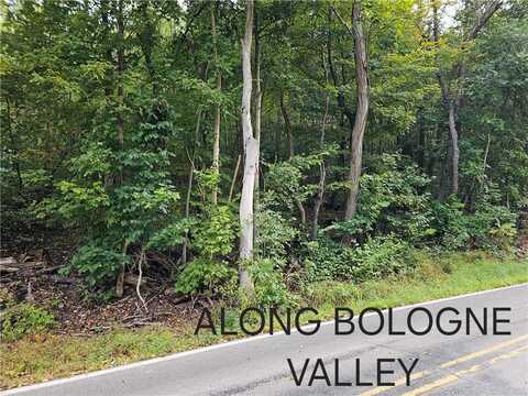 0 BOLOGNE VALLEY ROAD, North Sewickley, PA 15010