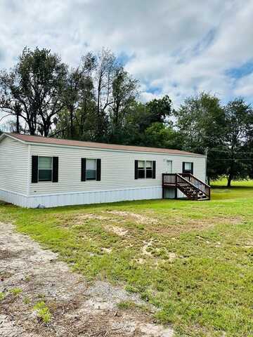 163 Indigo Drive, Lyons, GA 30436