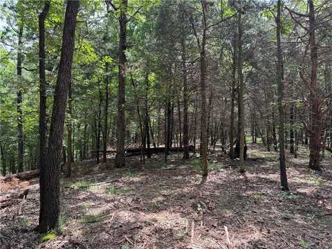 Tract 1a Downing RD, Elkins, AR 72727