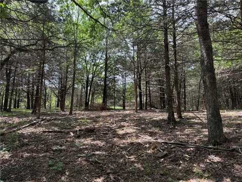 Tract 1b Downing RD, Elkins, AR 72727