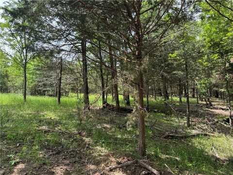 Tract 2b Downing RD, Elkins, AR 72727