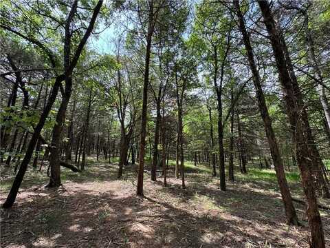 Tract 3a Downing RD, Elkins, AR 72727