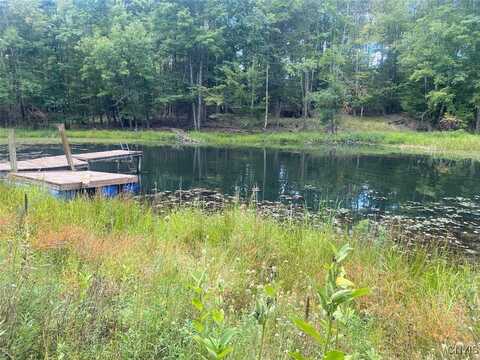 Oramel Hill Road, Caneadea, NY 14717