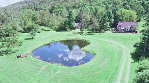 2260 E Handsome Brook Road, Franklin, NY 13775