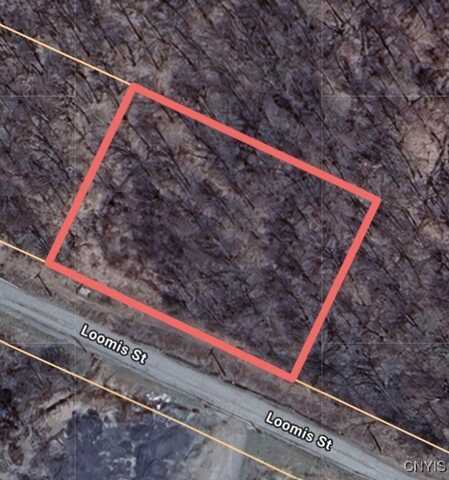Loomis Street, Little Falls City, NY 13365