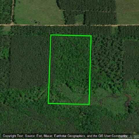 20 acres Lafayette CR-8, Bradley, AR 71826