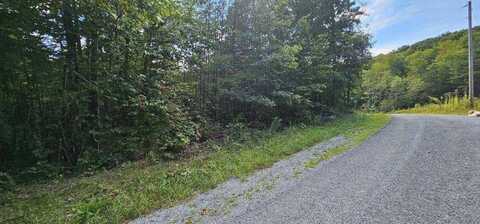 Lot 13 Bear Wallow Rd, Dunlap, TN 37327