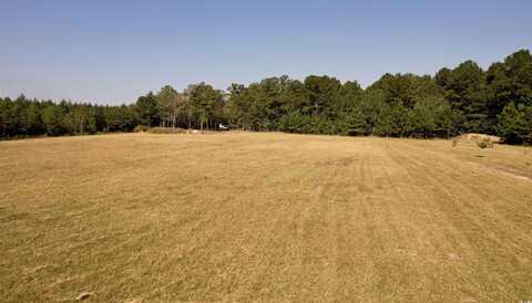 28+/- Acres-TBD Frank Cribb Rd., Georgetown, SC 29440