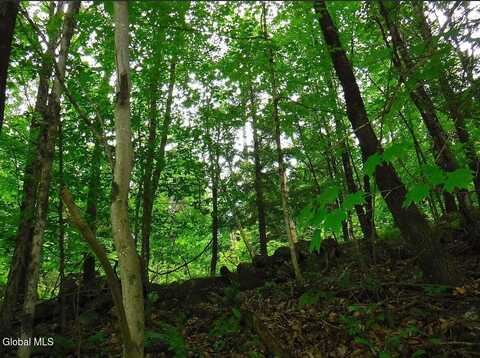L12 Goodman Road, Fort Ann, NY 12827