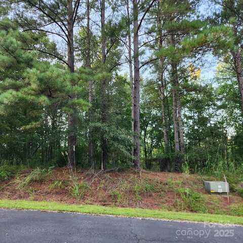 115 Scenic Ridge Drive, Mooresboro, NC 28114