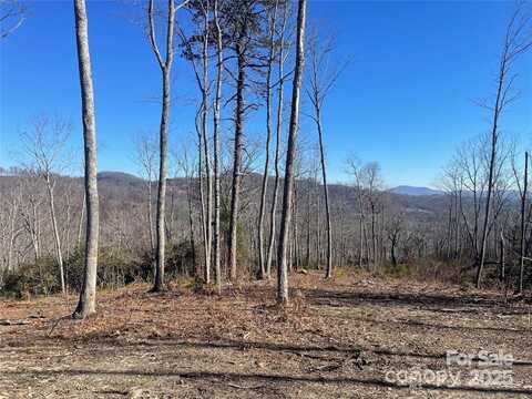 Mountain Grove Lane lot: 59, Fletcher, NC 28732