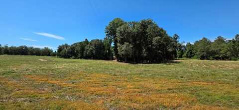 Lot 7 8.17 Acres Grady Garner Rd, Slocomb, AL 36375
