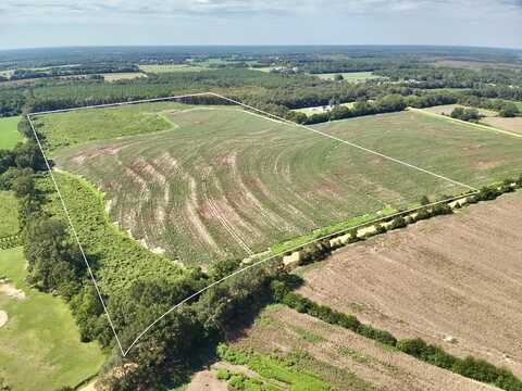 73 Acres Shiver Road, Malvern, AL 36375