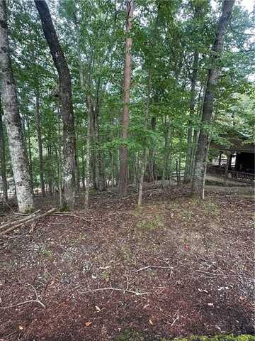 286 Morse Elm Loop, Waleska, GA 30183