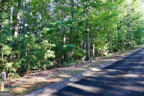 0 Saw Blade, Ellijay, GA 30540