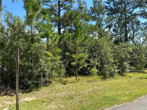 19 Hacklebarney Drive, Blackshear, GA 31516