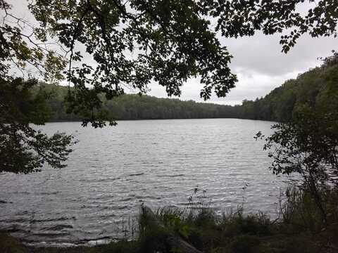 4467 KINNER LN, Phelps, WI 54554